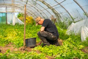 Maxence LE MÉZO - QIVI