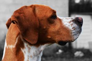 Mélissa FONDIN - MELPHOTOS