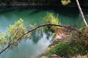 Mélissa FONDIN - MELPHOTOS